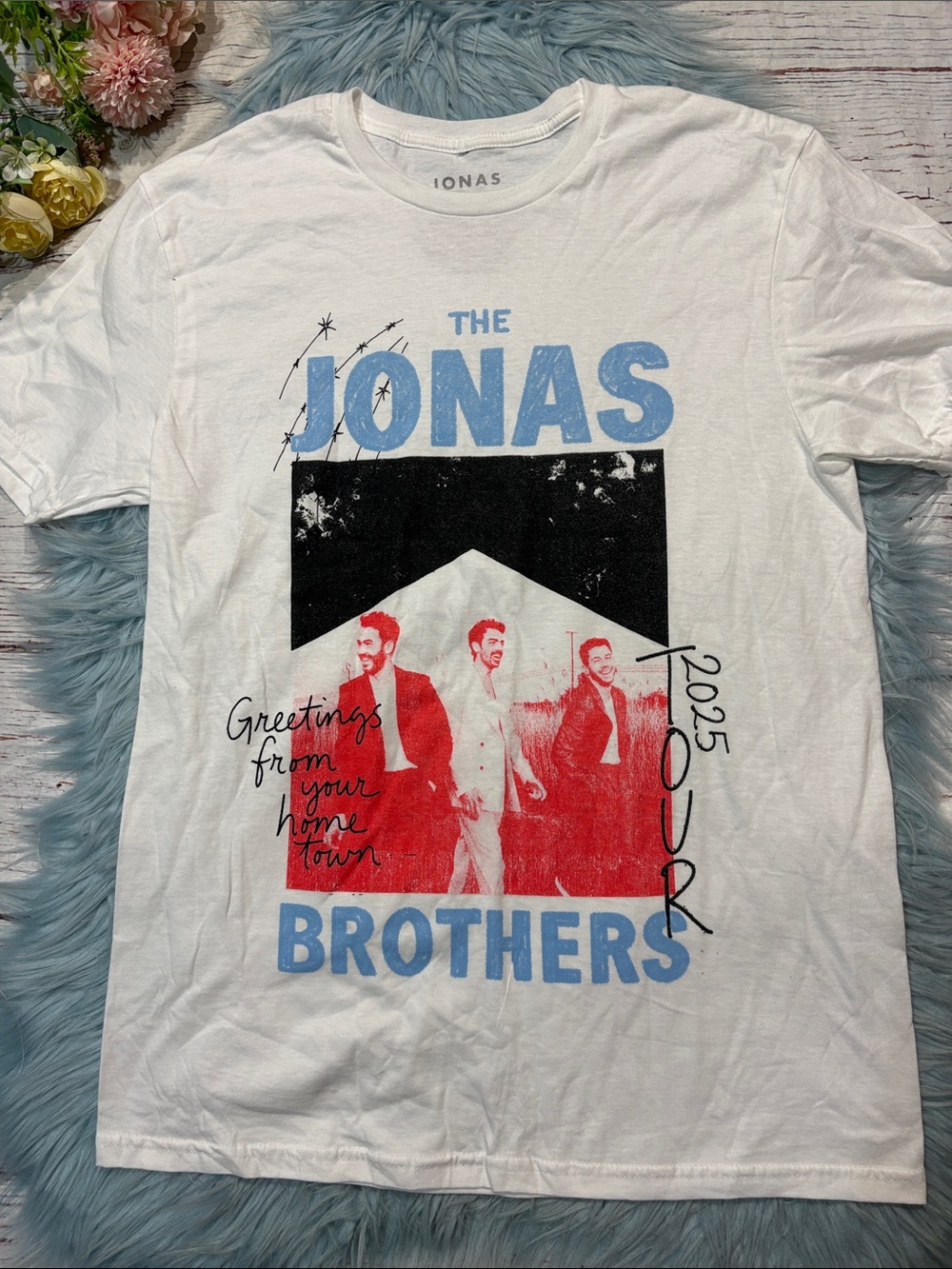 Jonas Brother Greeting from Your Hometown Tour 2025 Merch Tee - Picture 3 of 6